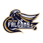 Grand Cayman Falcons Flag