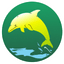 Gold Coast Flag