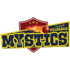 Team logo